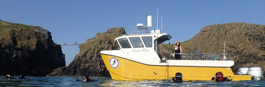 Nauti Alicia sea safari and Dive Boat beside Carrick a Rede rope bridge island