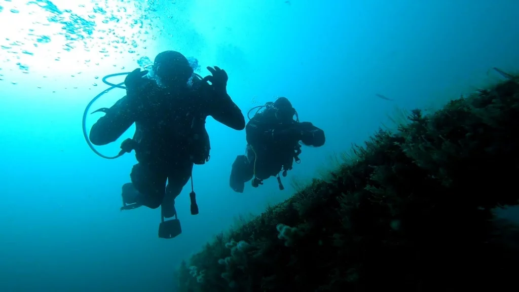 Divers Diving a wreck