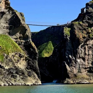 causeway-coast-sea-safari